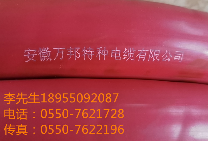 15942645561718.jpg W21.jpg