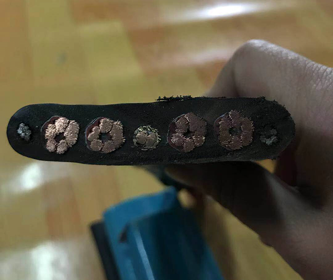 16557135873446.png 1647507520(1).png