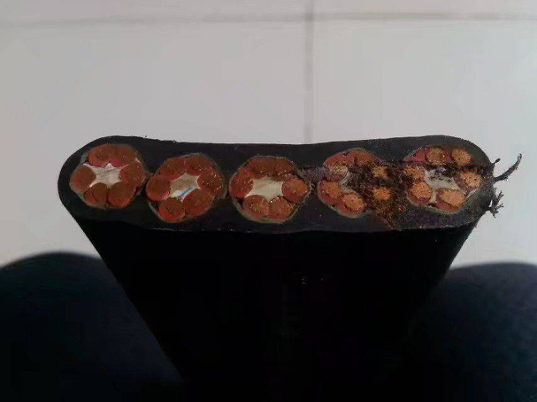 16571774109807.png 1647508142(1).png