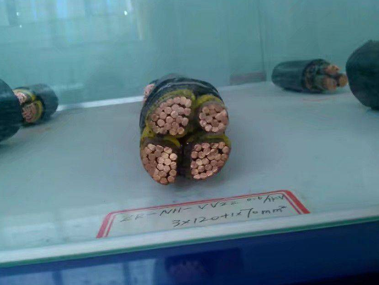 17191934828053.png 1647507787(1).png