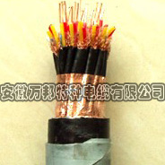 DJYP2V(R)P2計(jì)算機(jī)用屏蔽電纜(包括DCS電纜)