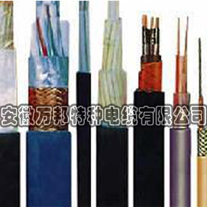 ZR-DJFVP2氟塑料絕緣聚氯乙烯護(hù)套計(jì)算機(jī)電纜