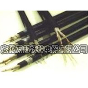 萬邦電纜—WDZ-DCYJ-125